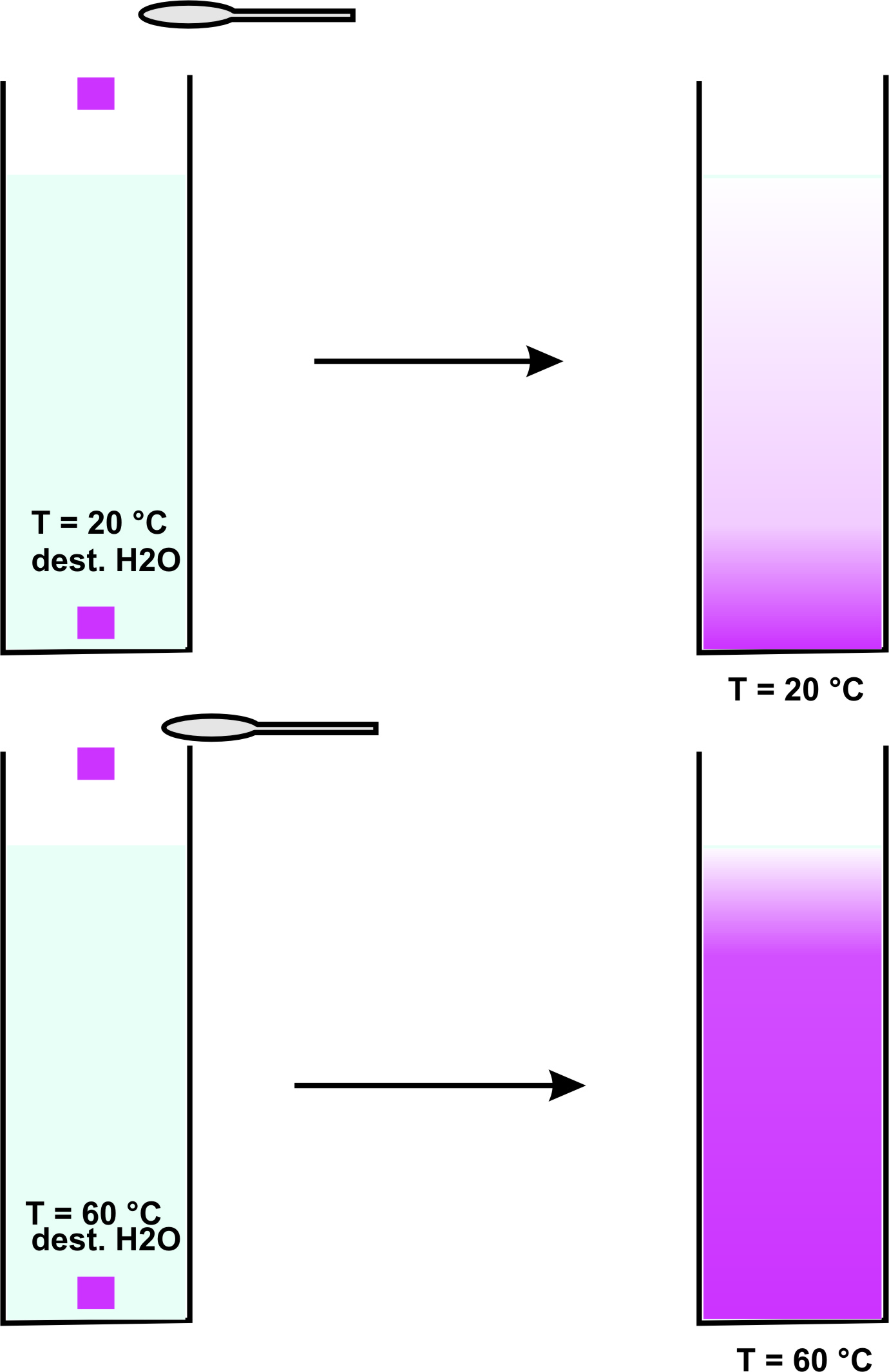 Skizze, die zeigt wie sich Kaliumpermanganat mit der Zeit gleichmässig innerhalb der wässrigen Lösung verteilt. 
