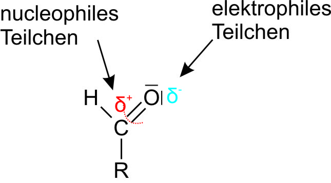 Strukturformel eines Aldehyds. C ist positiviert und kann nucleophil angegegriffen werden; Sauerstoff besitzt eine negative Partialladung und ein freies Elektronenpaar und kann von einem elektrophilen Teilchen angegriffen werden.